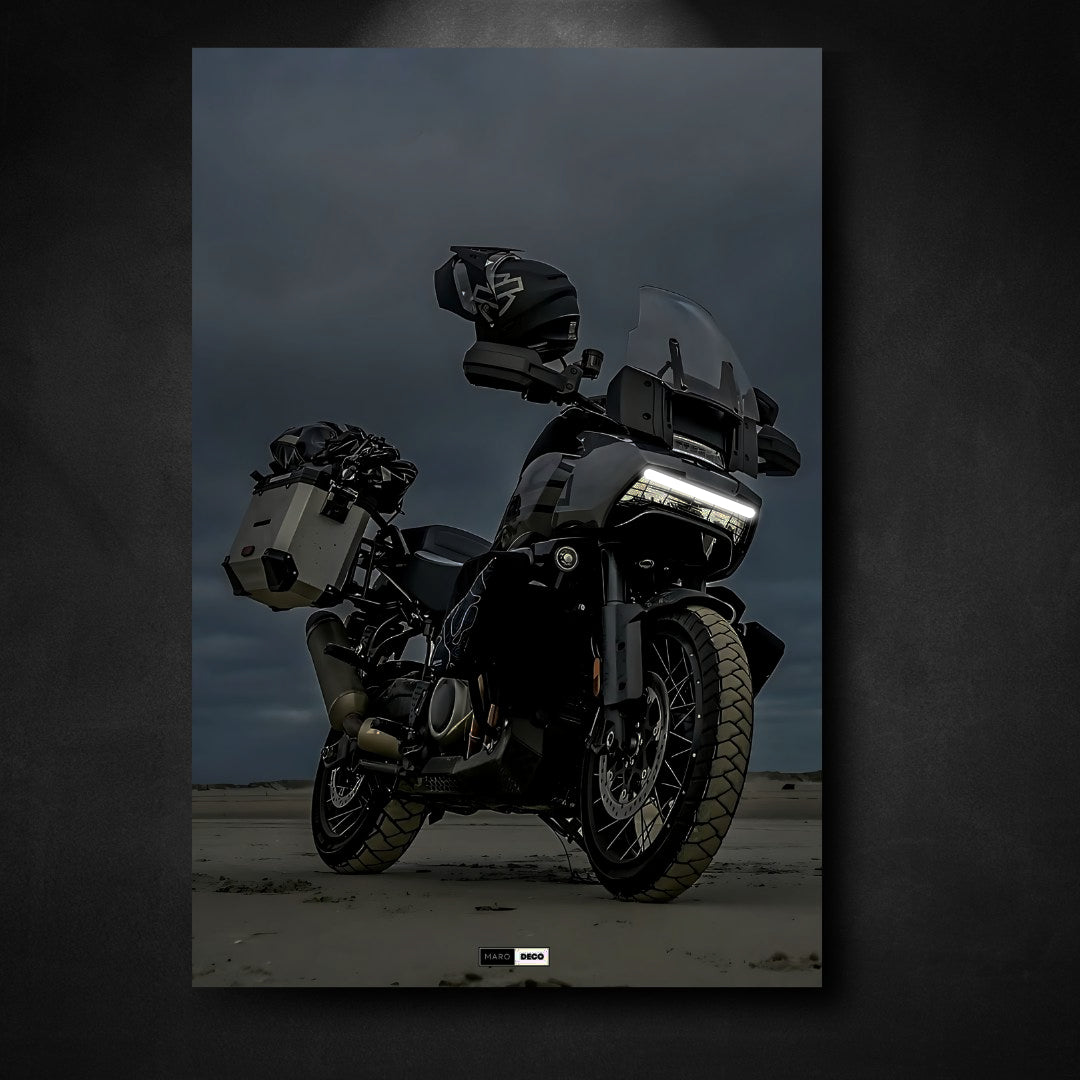Tableau NÉON Harley-Davidson Pan America 1250-Marodeco