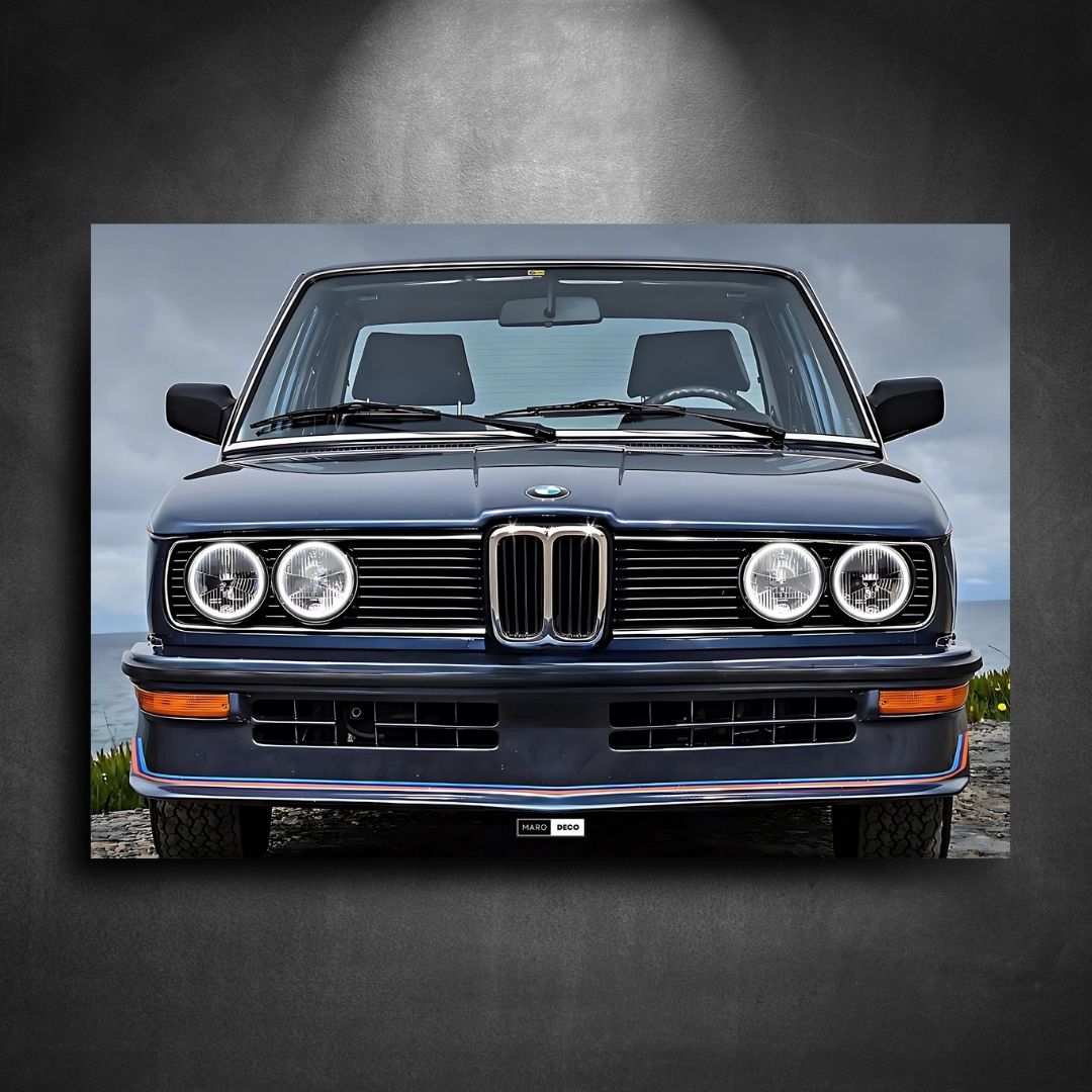 Tableau Néon BMW Série 5 (E12)-Marodeco