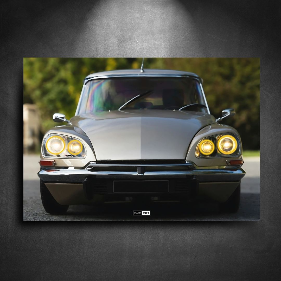 Tableau Néon Citroën DS20 Pallas-Marodeco