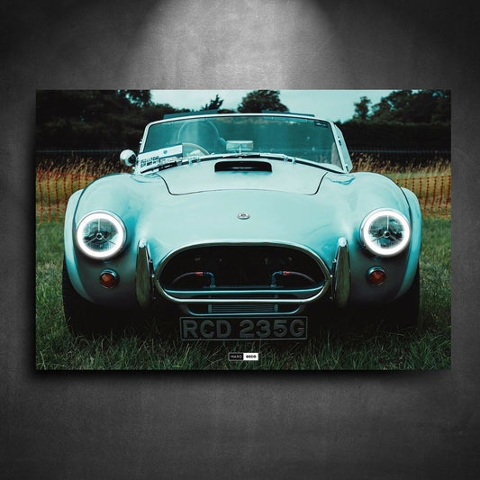 Tableau Néon Shelby Cobra 289-Marodeco