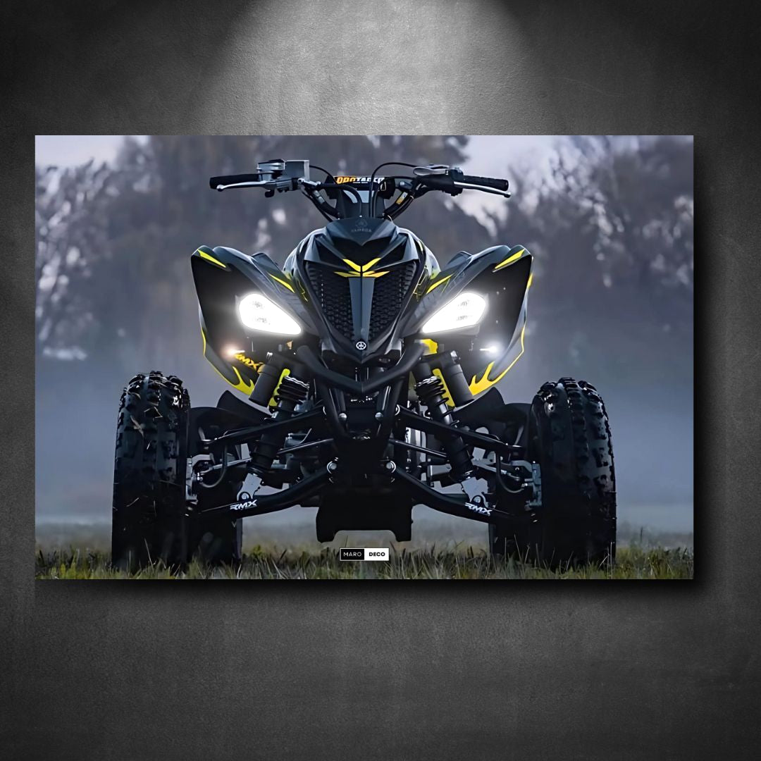Marodeco Tableau NÉON Yamaha Raptor 700
